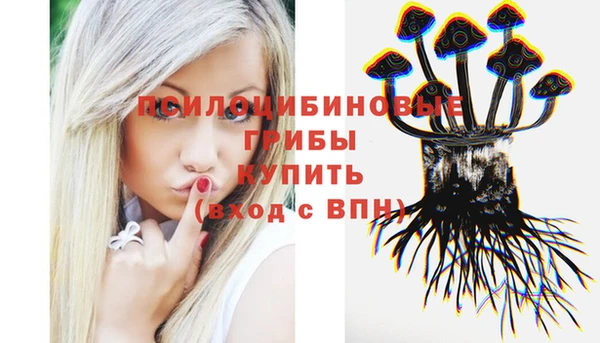 гашик Абинск