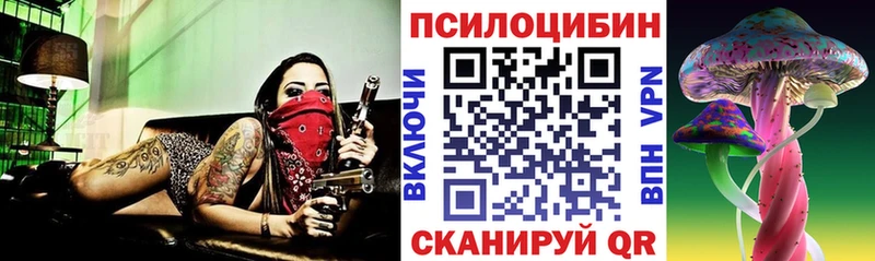 мега вход  цены наркотик  Моршанск  Псилоцибиновые грибы мицелий 